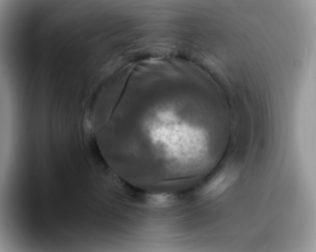 X0000094230432200711091317