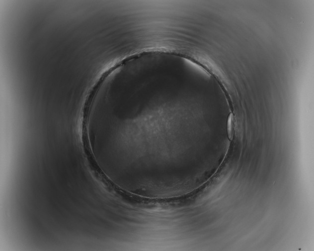 X0000094230434200711091317