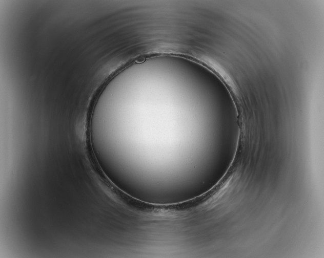 X0000094230437200711091317