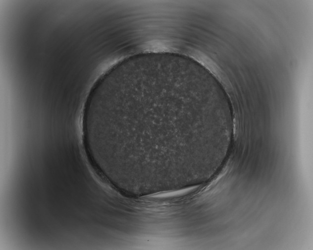 X0000094230438200711091317