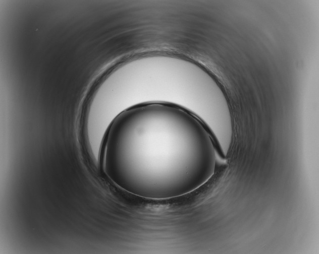 X0000094230440200711091317