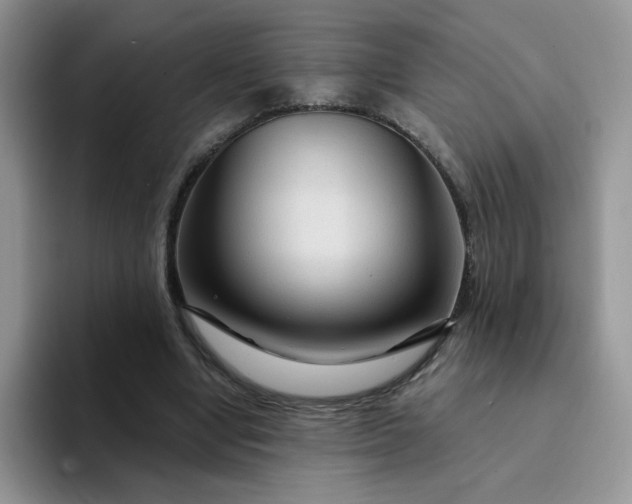 X0000094230442200711091317