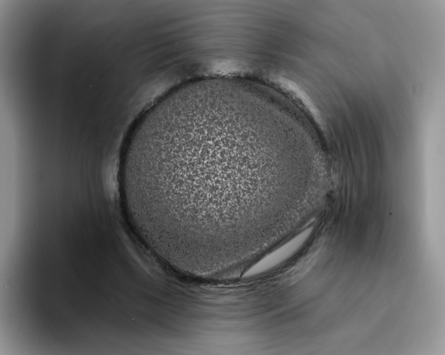 X0000094230443200711091317