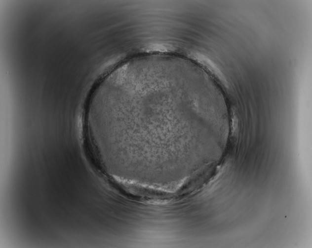 X0000094230444200711091317