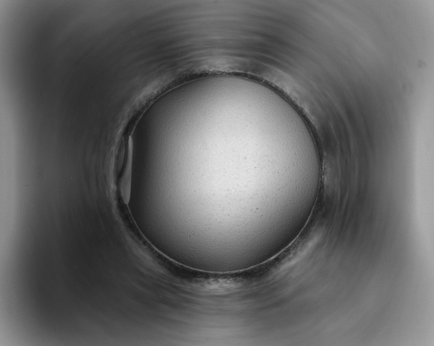 X0000094230445200711091317