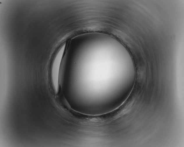 X0000094230446200711091317