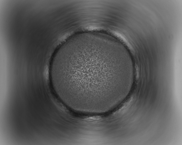 X0000094230447200711091317