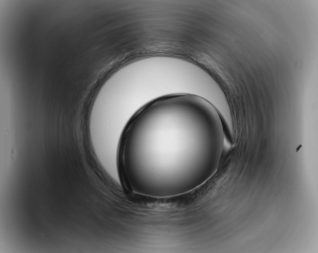 X0000094230448200711091317