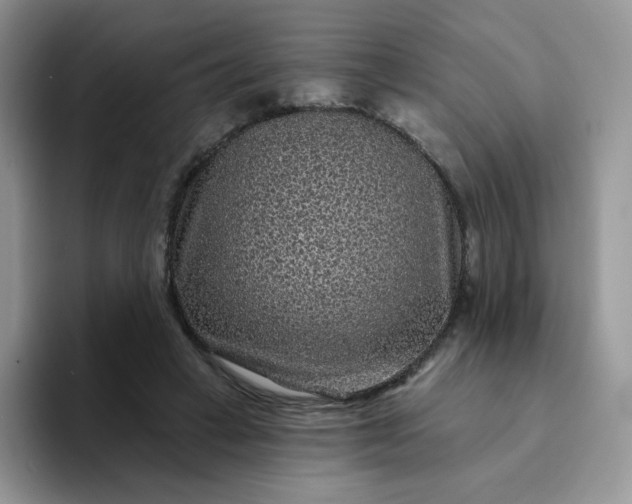 X0000094230449200711091317