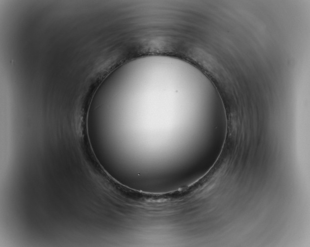 X0000094230450200711091317