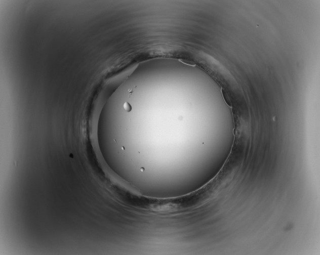 X0000094230452200711091317