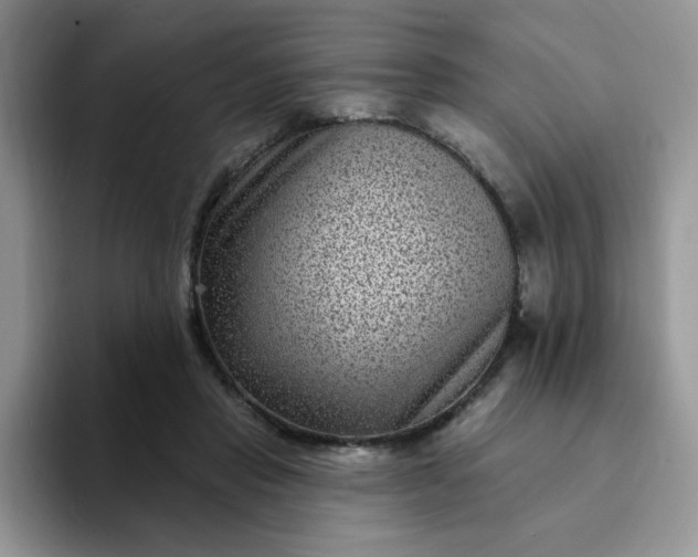 X0000094230453200711091317