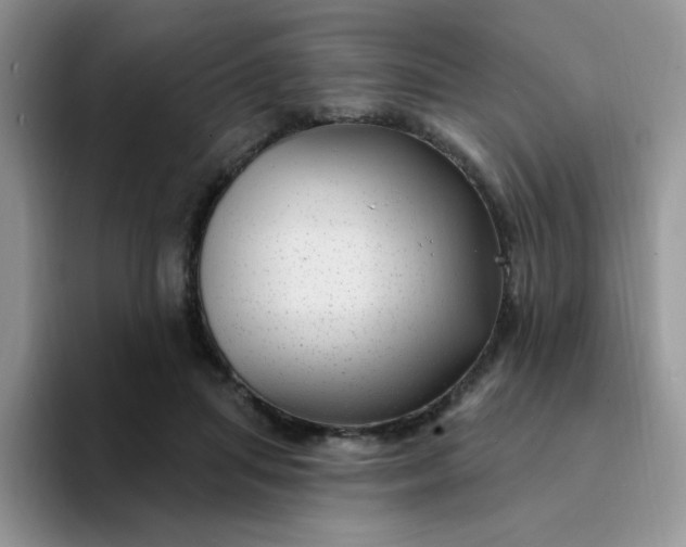 X0000094230455200711091317