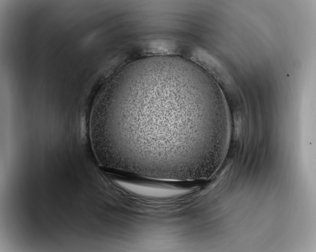 X0000094230457200711091317