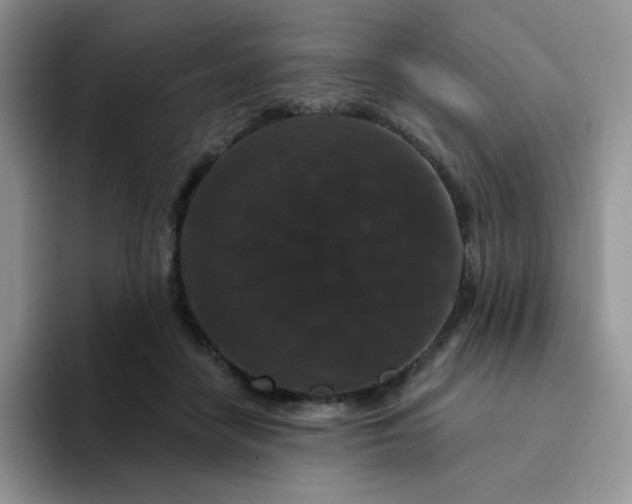 X0000094230458200711091317