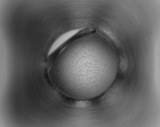 X0000094230461200711091317