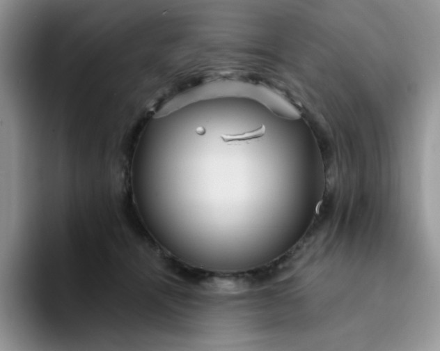 X0000094230464200711091317