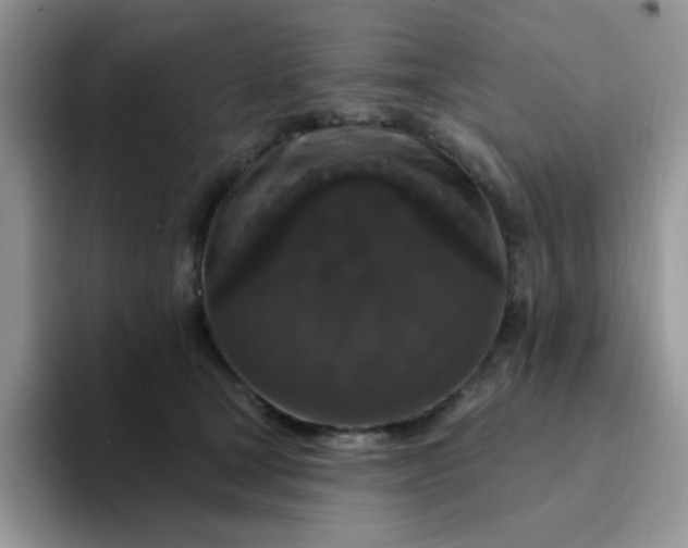 X0000094230465200711091317