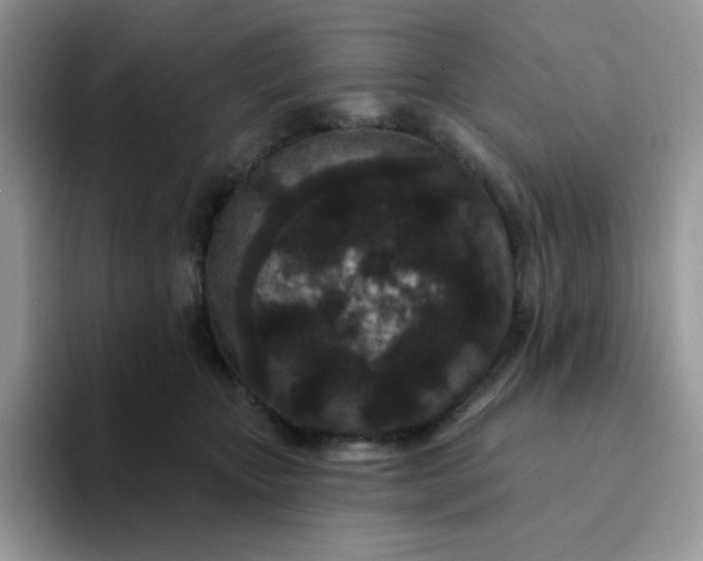 X0000094230467200711091317