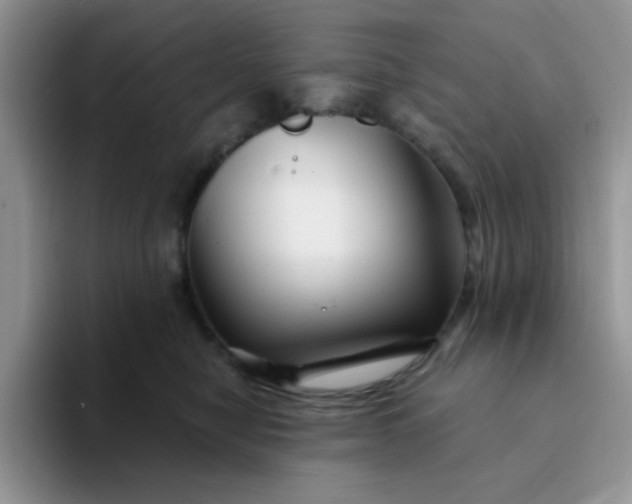 X0000094230470200711091317