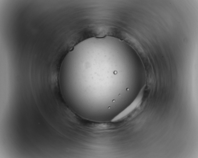 X0000094230473200711091317