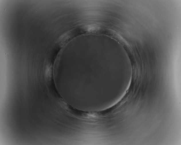 X0000094230475200711091317