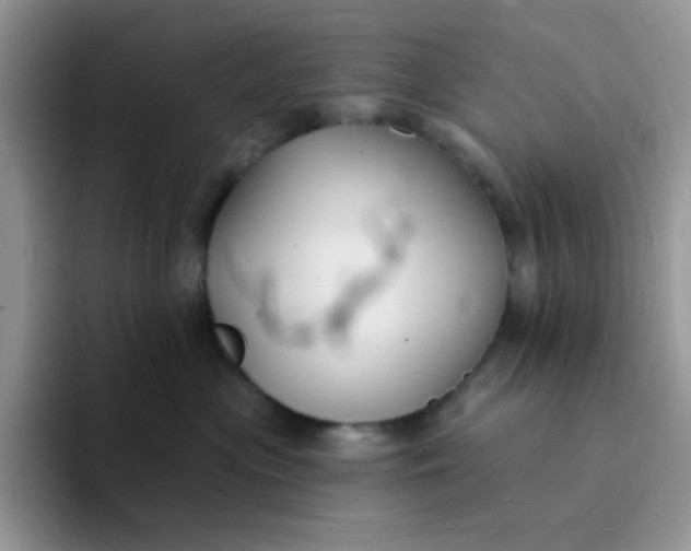 X0000094230477200711091317