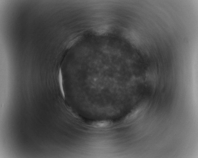 X0000094230479200711091317