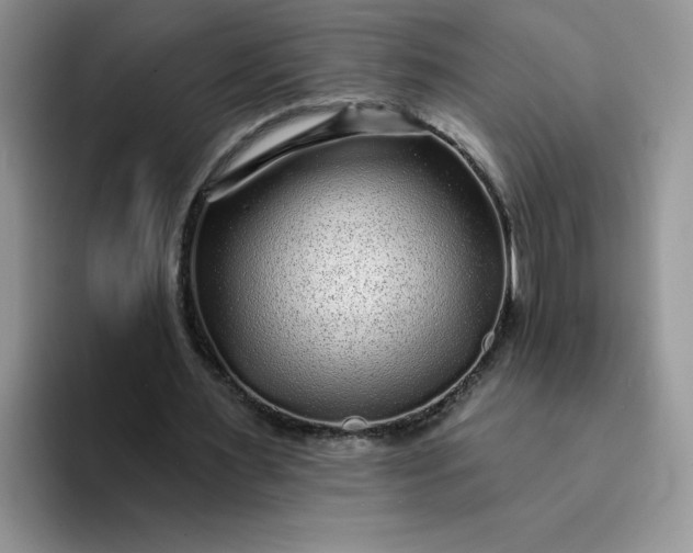 X0000094230483200711091317