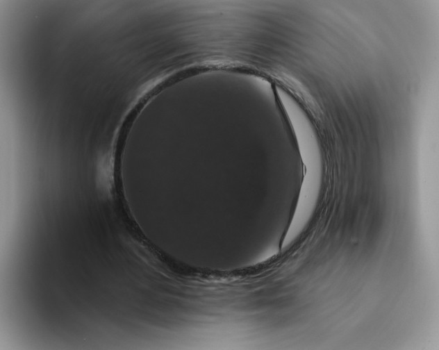 X0000094230484200711091317