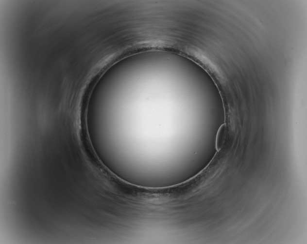 X0000094230486200711091317