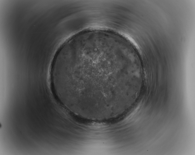 X0000094230487200711091317