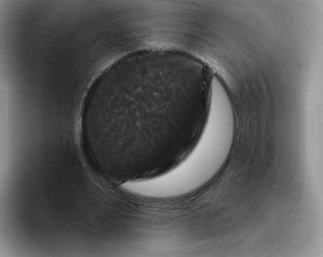 X0000094230488200711091317