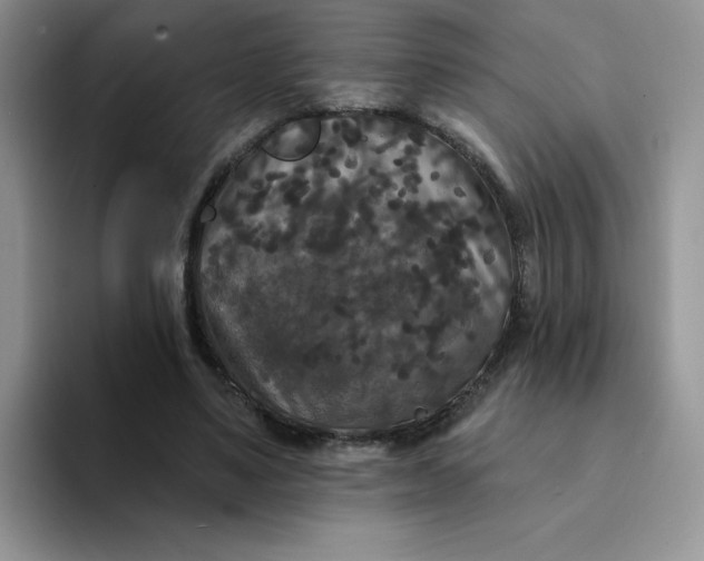 X0000094230491200711091317