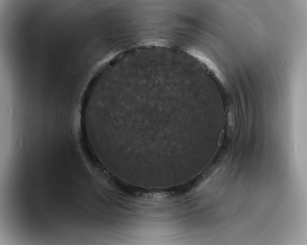 X0000094230492200711091317