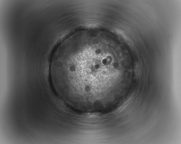 X0000094230495200711091316