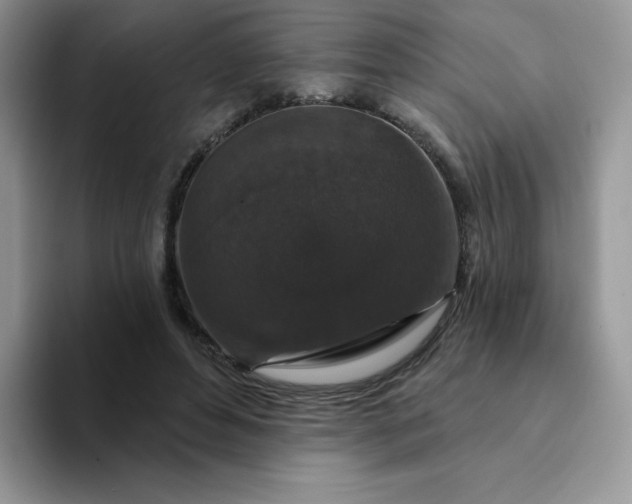 X0000094230496200711091316