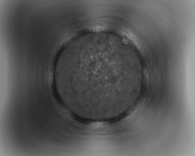 X0000094230499200711091316