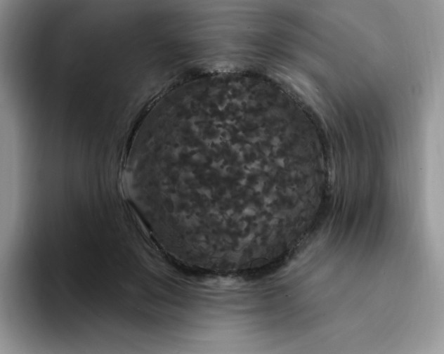 X0000094230503200711091316