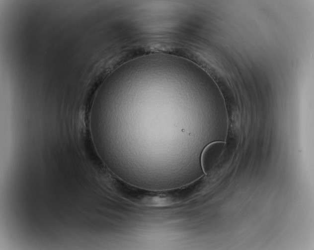 X0000094230506200711091316