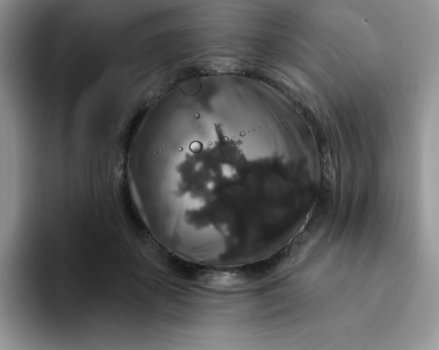 X0000094230507200711091316