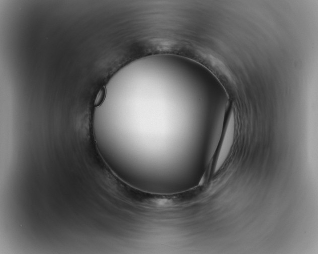 X0000094230509200711091316