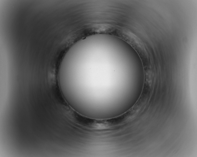 X0000094230510200711091316