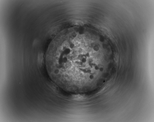 X0000094230511200711091316