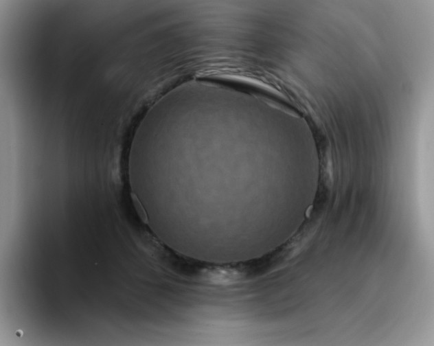 X0000094230512200711091316