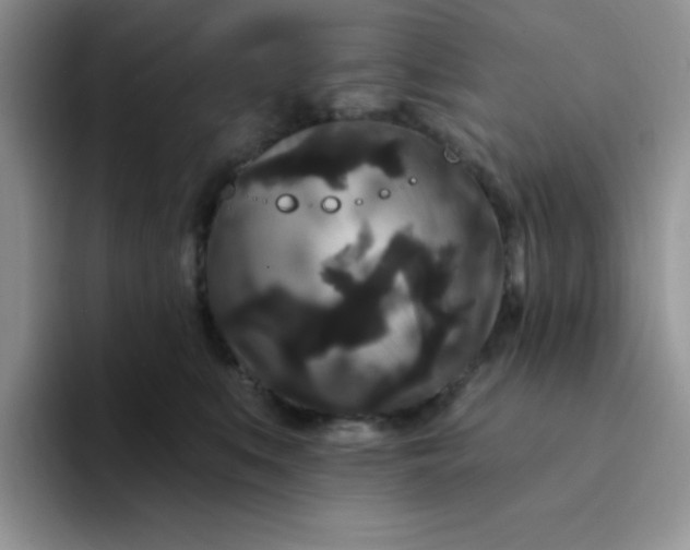 X0000094230519200711091316