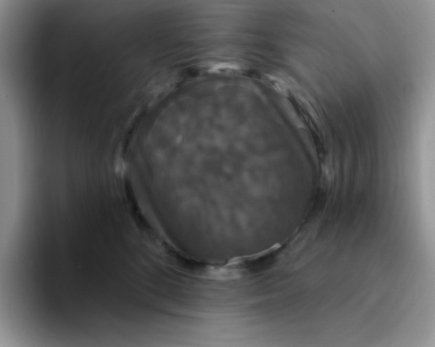 X0000094230520200711091316