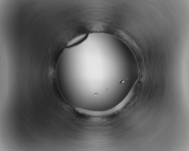 X0000094230521200711091316