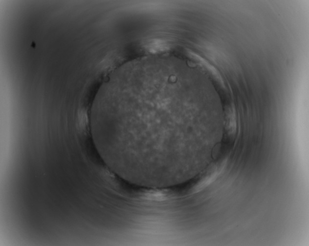 X0000094230523200711091316