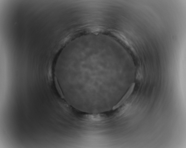 X0000094230524200711091316